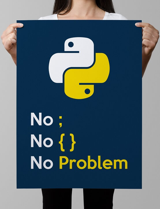 python programming for beginners